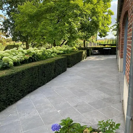 Semesterbostad Maison L'amitie Ellezelles